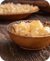 Indian Frankincense